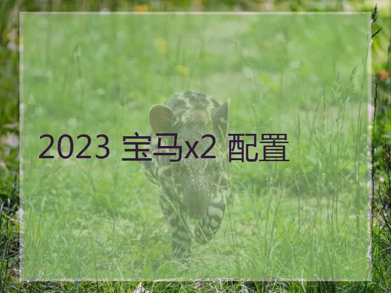 2023 宝马x2 配置