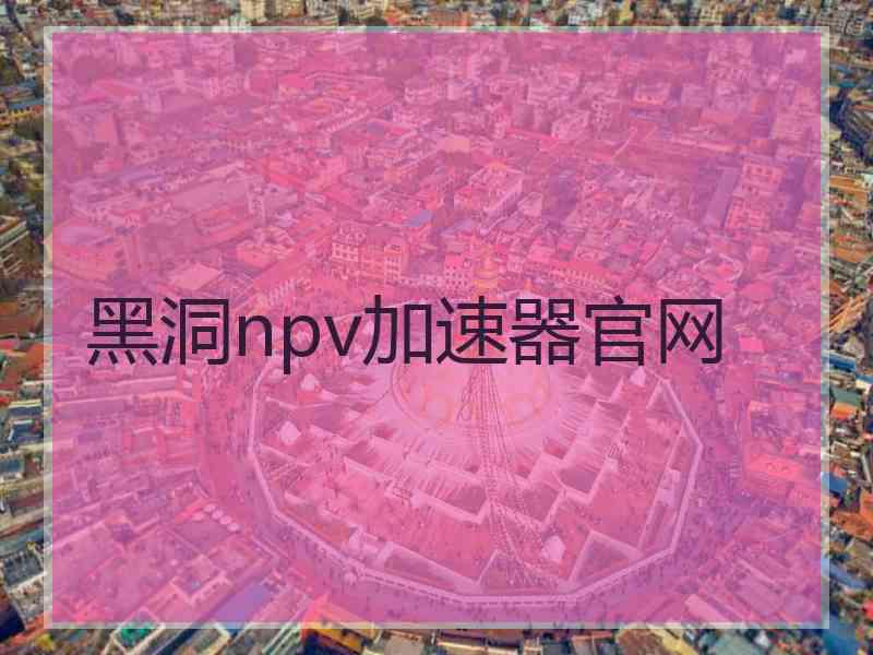 黑洞npv加速器官网