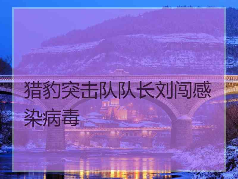 猎豹突击队队长刘闯感染病毒
