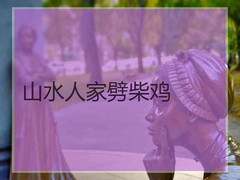 山水人家劈柴鸡