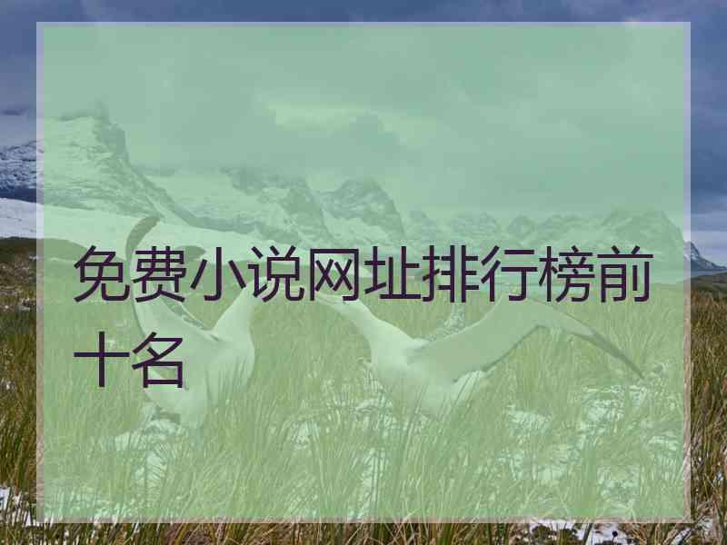 免费小说网址排行榜前十名
