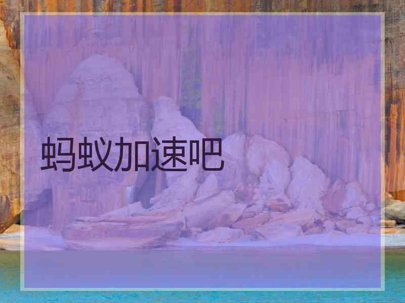 蚂蚁加速吧