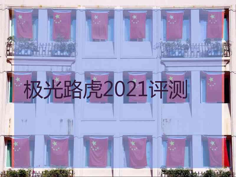 极光路虎2021评测