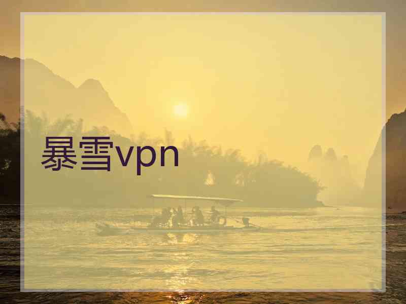 暴雪vpn