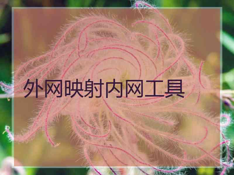 外网映射内网工具