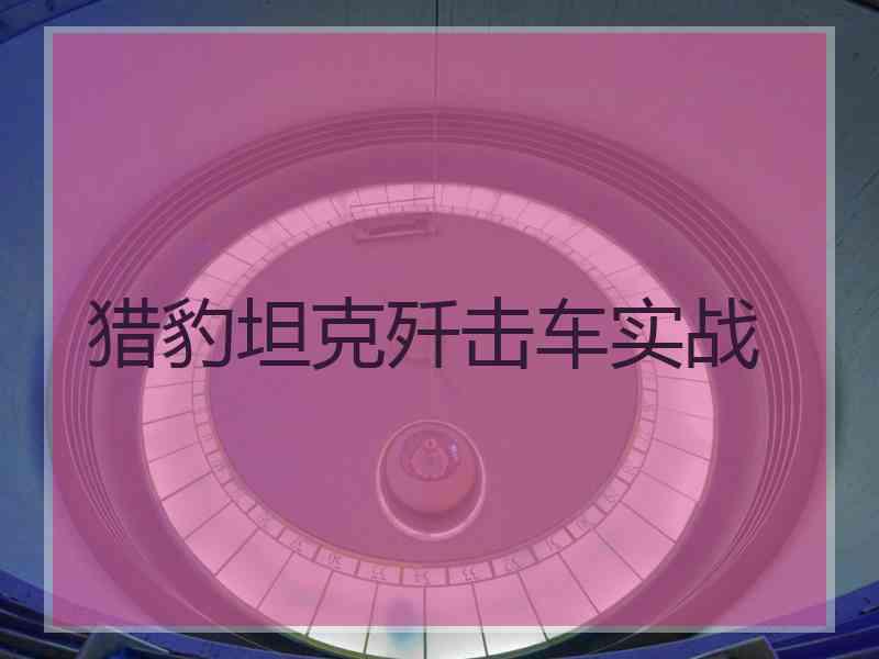 猎豹坦克歼击车实战