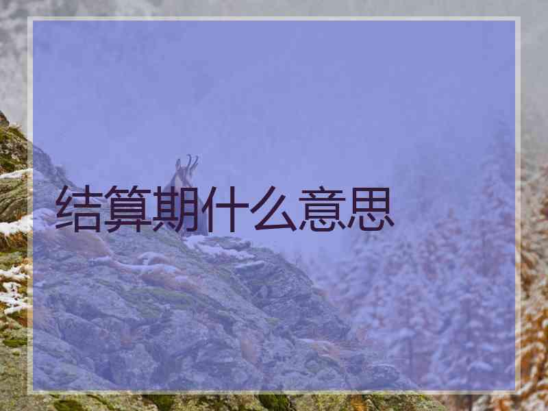 结算期什么意思