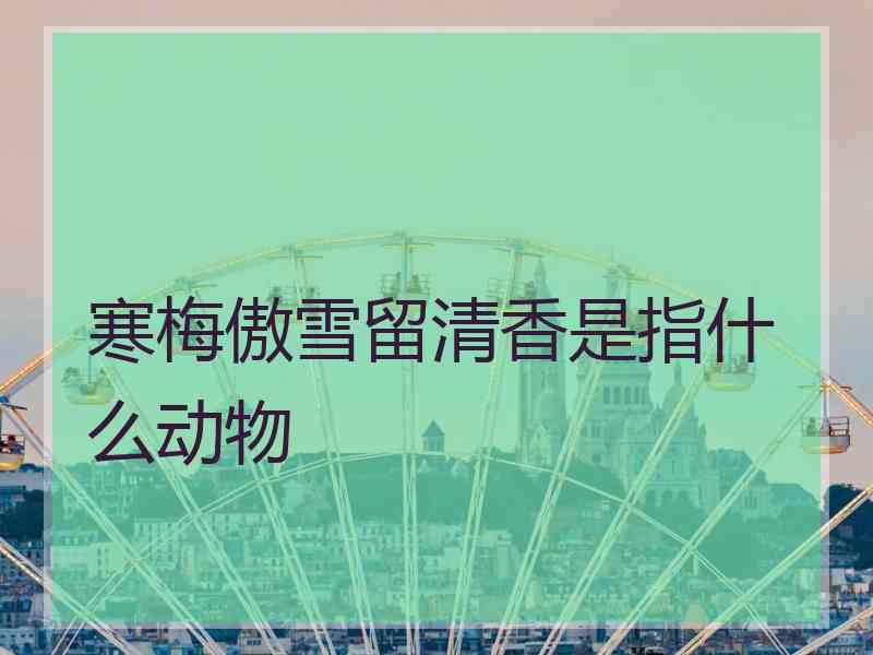 寒梅傲雪留清香是指什么动物