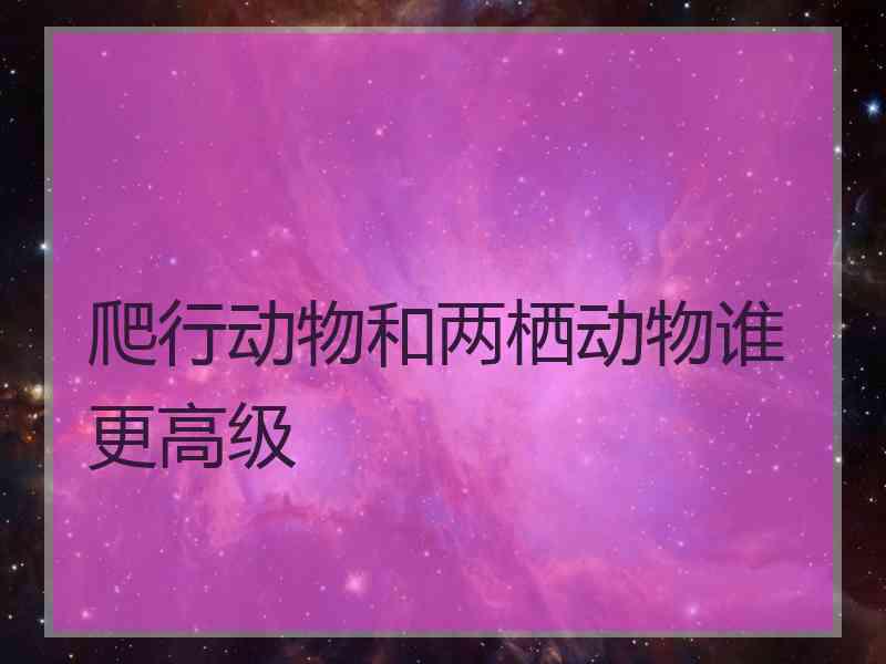 爬行动物和两栖动物谁更高级