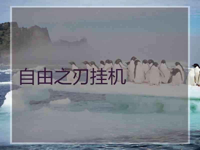 自由之刃挂机