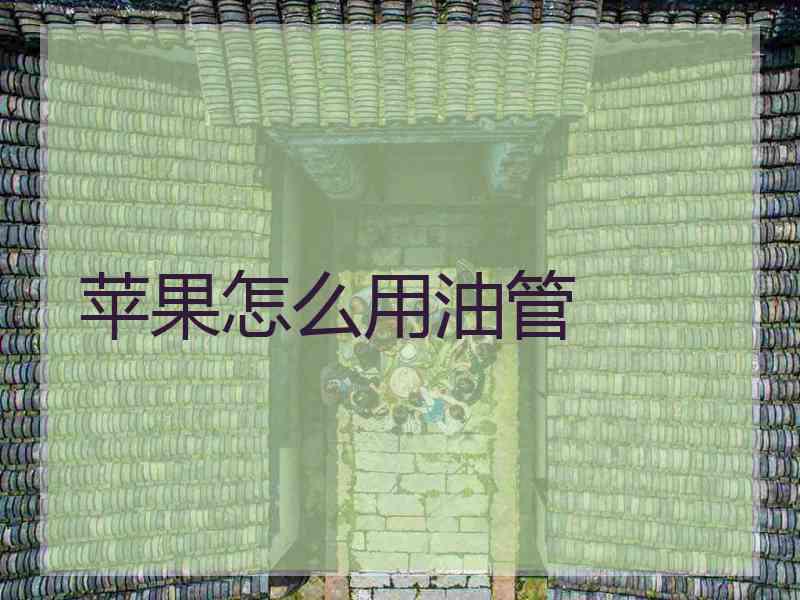 苹果怎么用油管