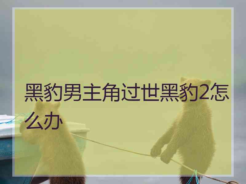 黑豹男主角过世黑豹2怎么办