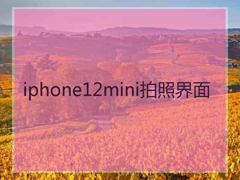 iphone12mini拍照界面