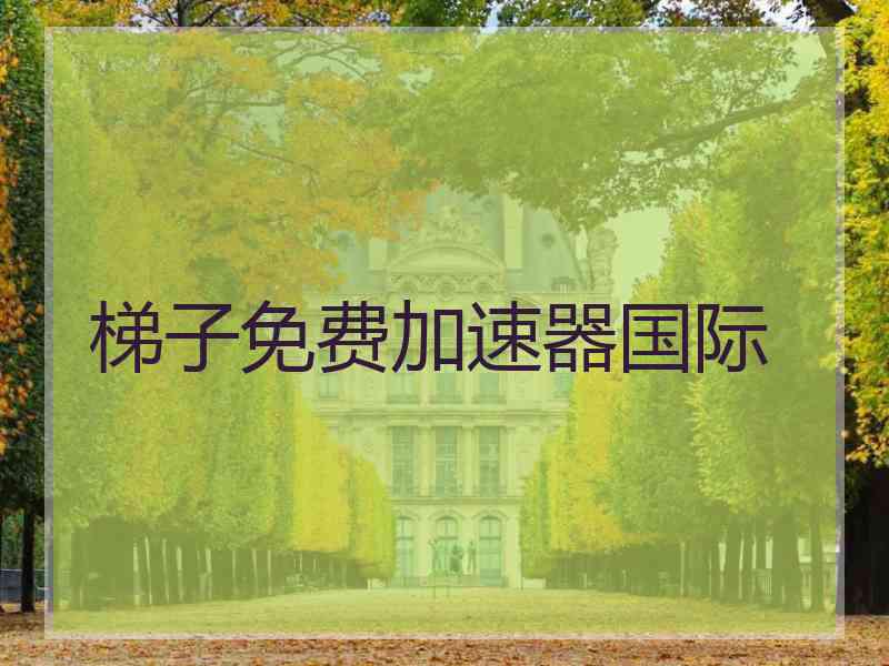 梯子免费加速器国际