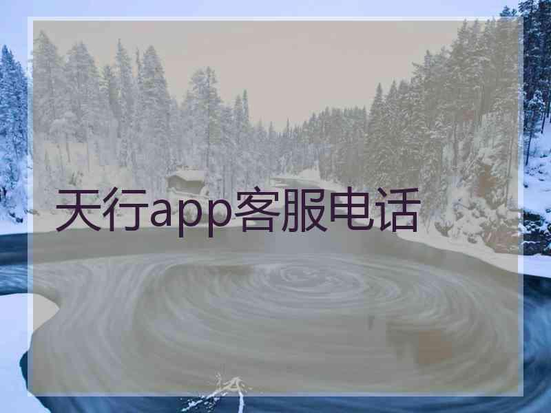 天行app客服电话