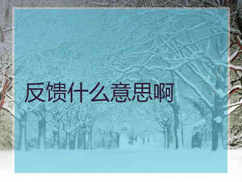 反馈什么意思啊