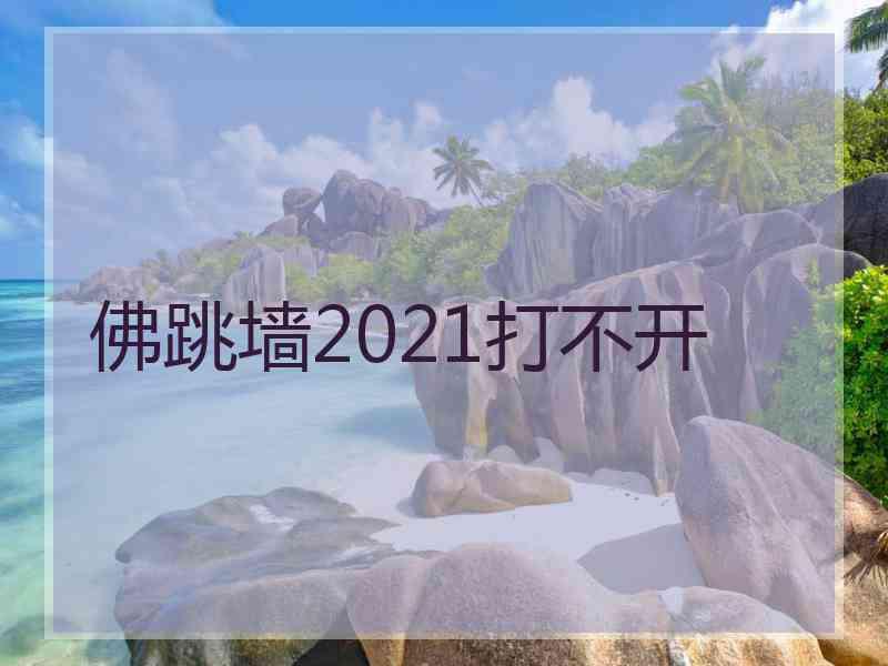佛跳墙2021打不开