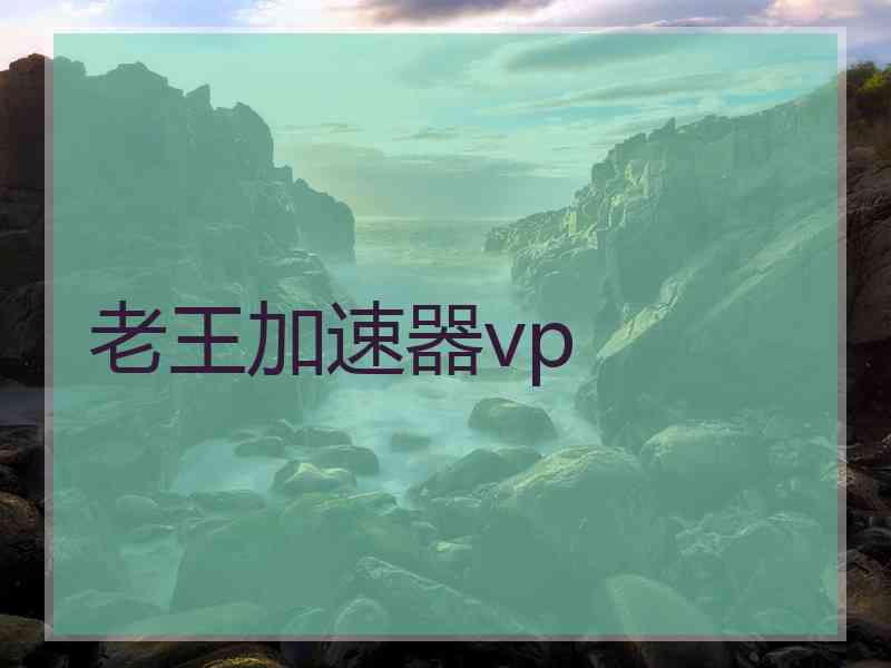 老王加速器vp