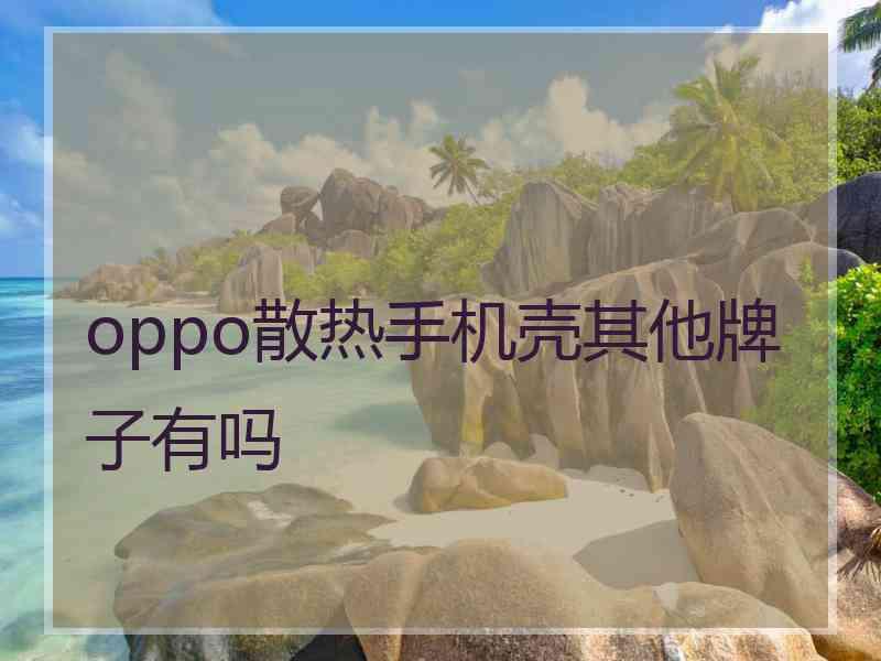 oppo散热手机壳其他牌子有吗