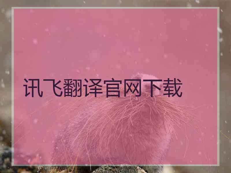 讯飞翻译官网下载