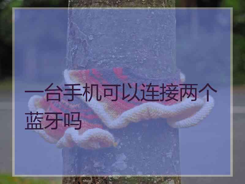 一台手机可以连接两个蓝牙吗
