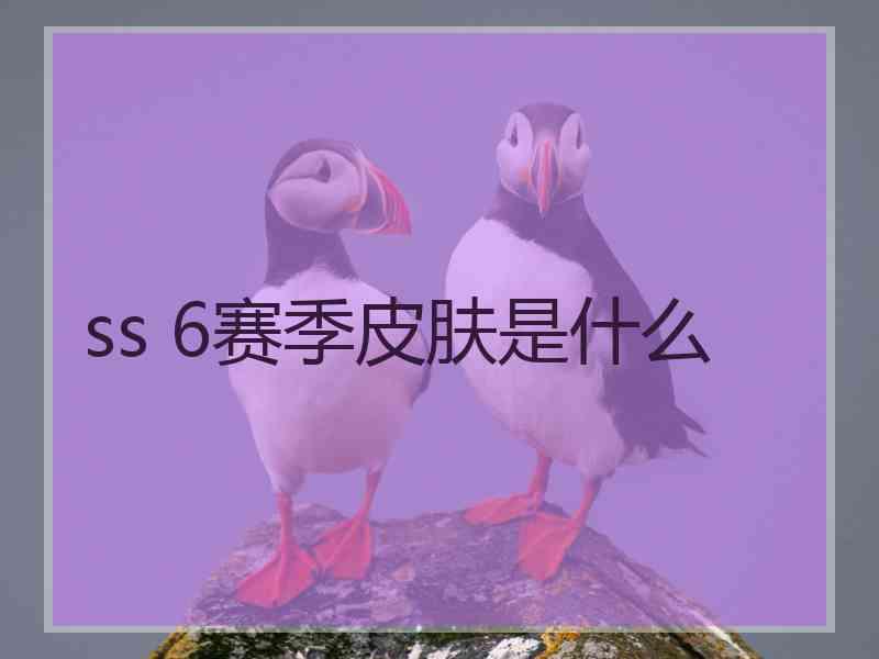 ss 6赛季皮肤是什么