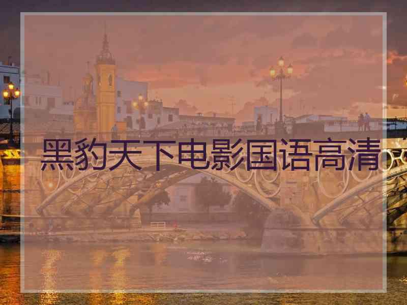 黑豹天下电影国语高清