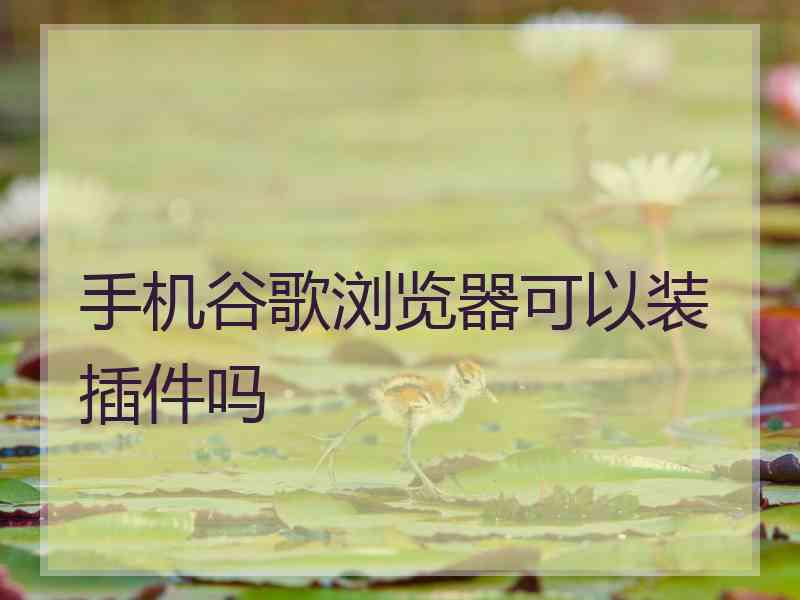 手机谷歌浏览器可以装插件吗