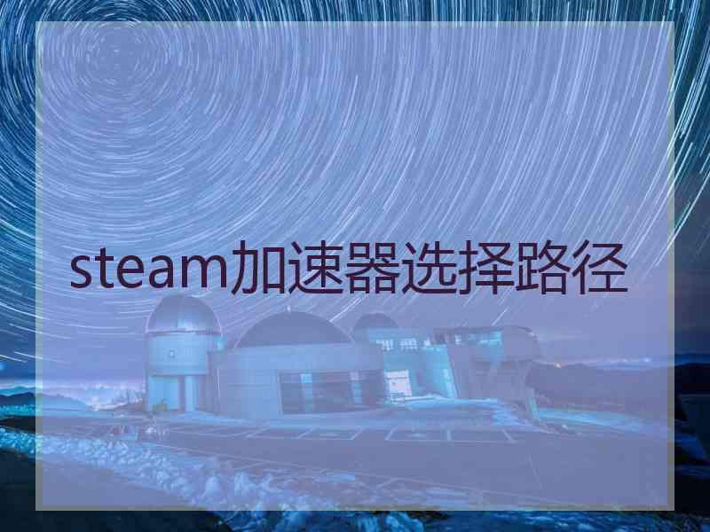 steam加速器选择路径