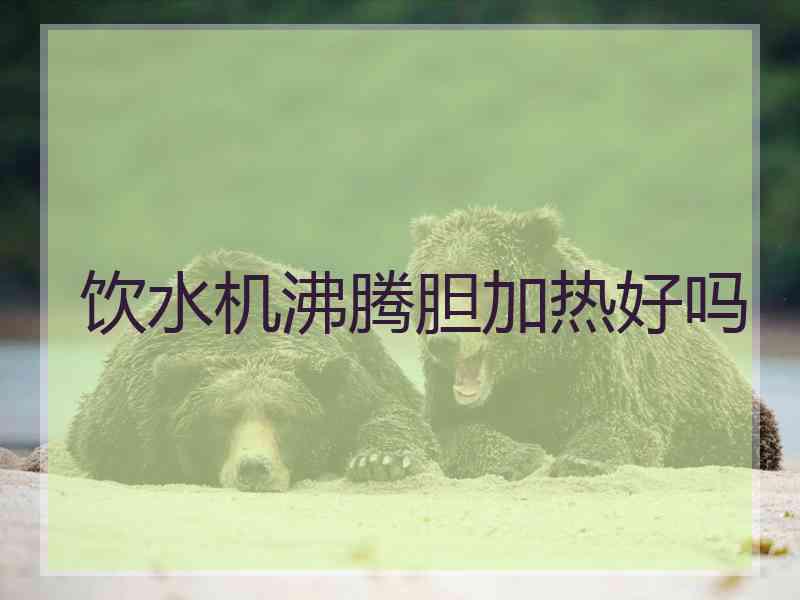 饮水机沸腾胆加热好吗