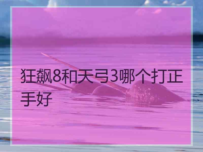 狂飙8和天弓3哪个打正手好