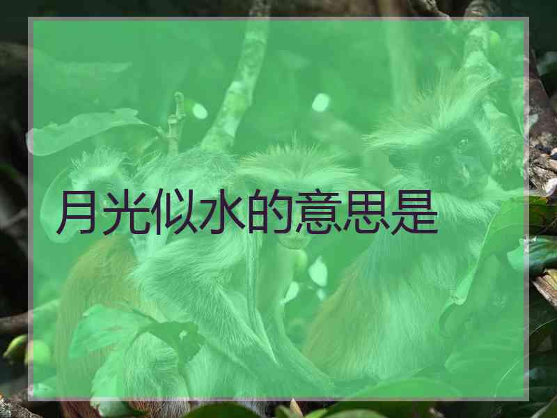 月光似水的意思是