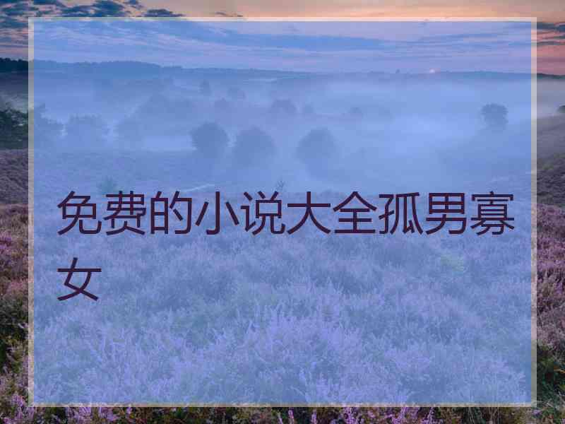 免费的小说大全孤男寡女