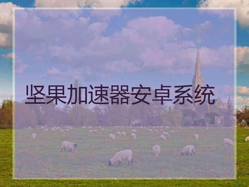 坚果加速器安卓系统