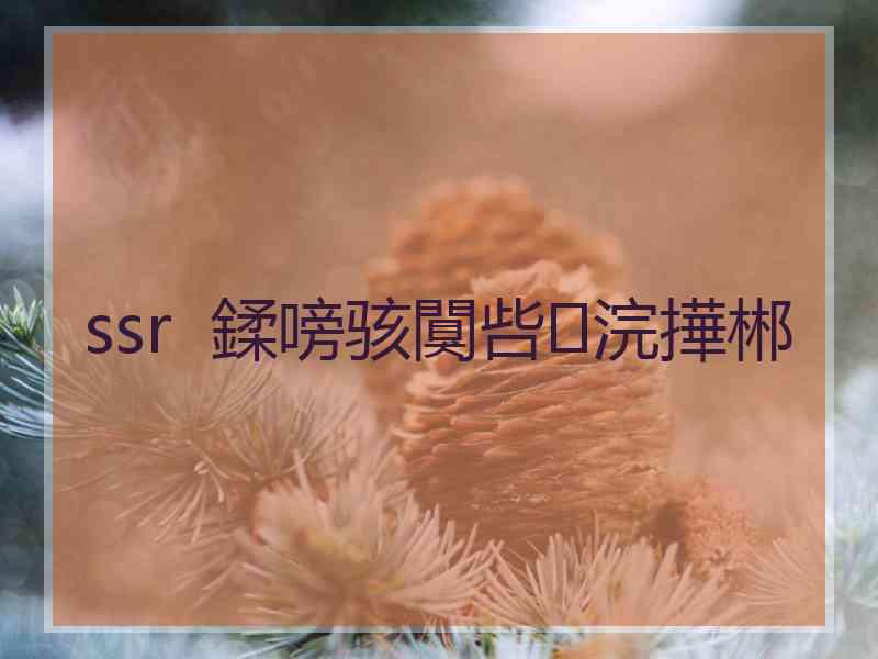 ssr  鍒嗙骇闃呰浣撶郴