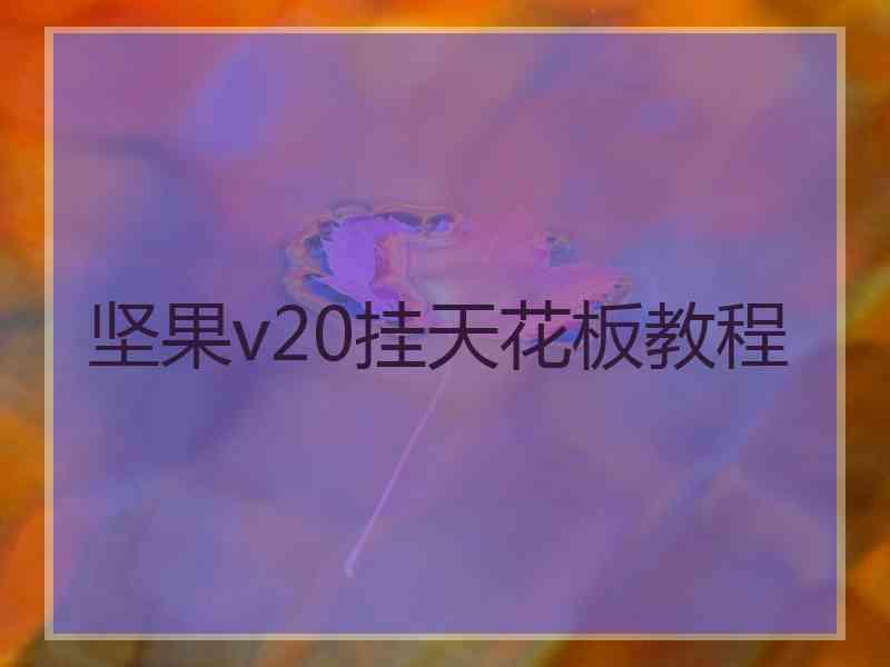坚果v20挂天花板教程
