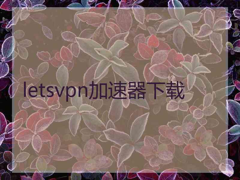 letsvpn加速器下载