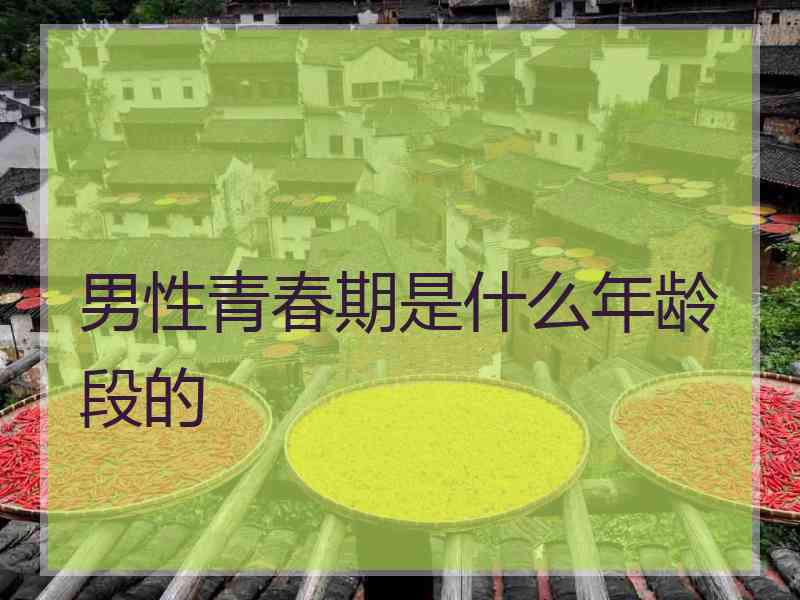 男性青春期是什么年龄段的