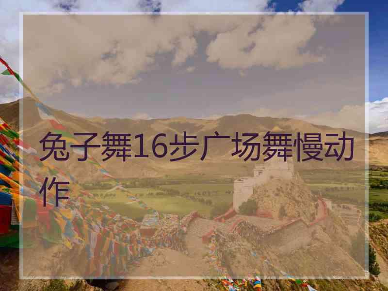 兔子舞16步广场舞慢动作
