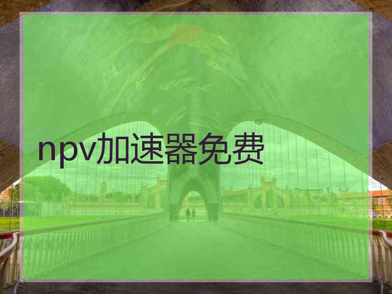 npv加速器免费