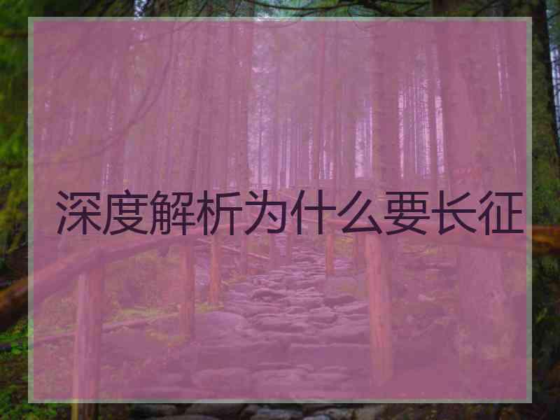 深度解析为什么要长征