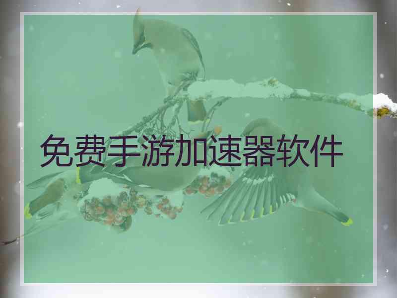 免费手游加速器软件