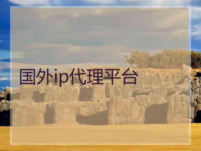 国外ip代理平台