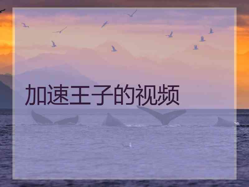 加速王子的视频