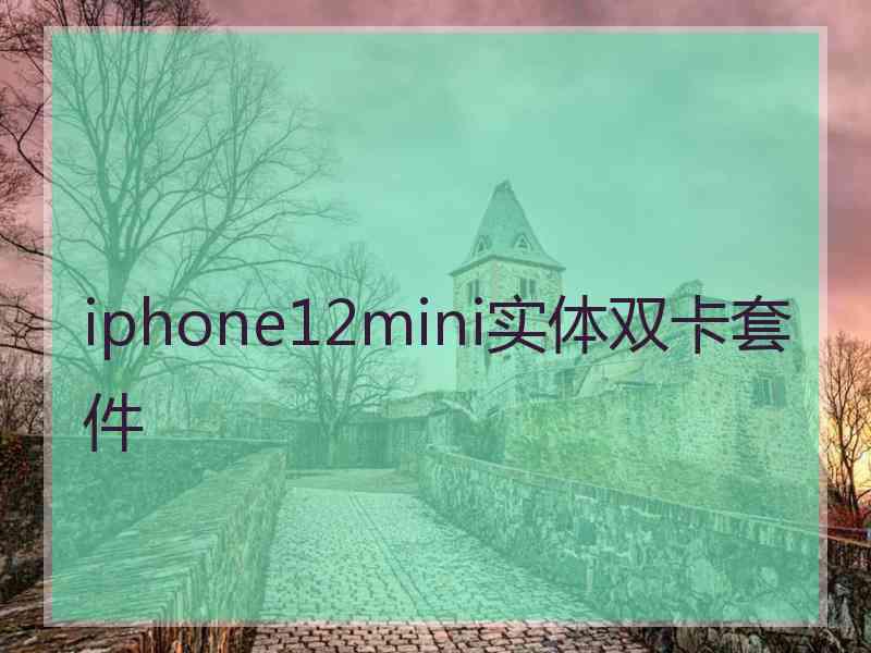 iphone12mini实体双卡套件