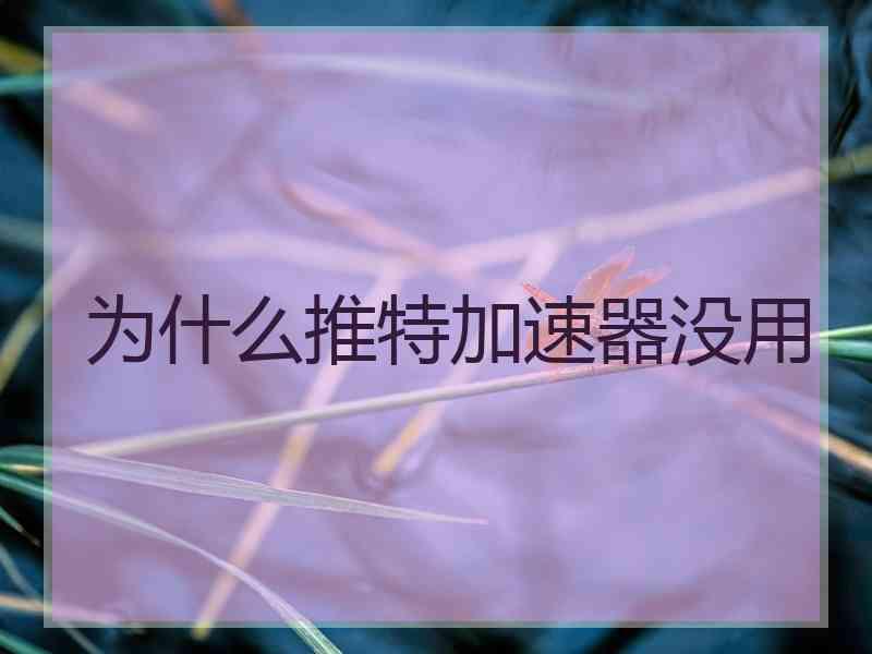 为什么推特加速器没用