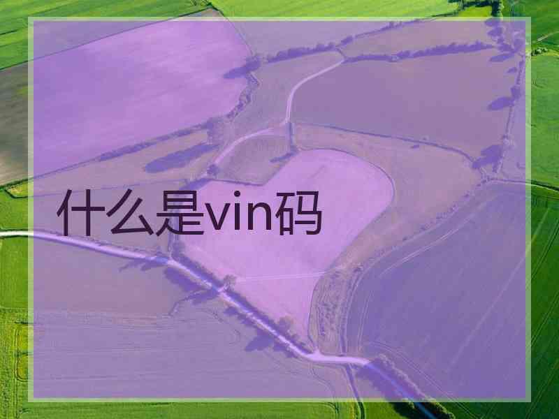 什么是vin码