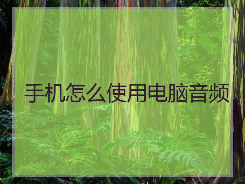 手机怎么使用电脑音频