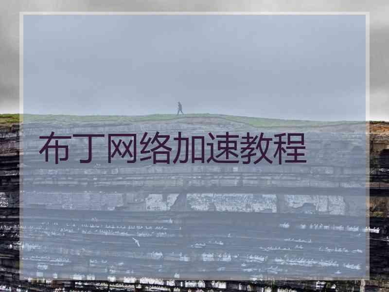 布丁网络加速教程