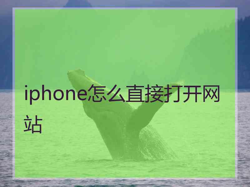 iphone怎么直接打开网站
